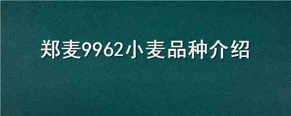 郑麦9962小麦品种介绍（郑麦925小麦品种）