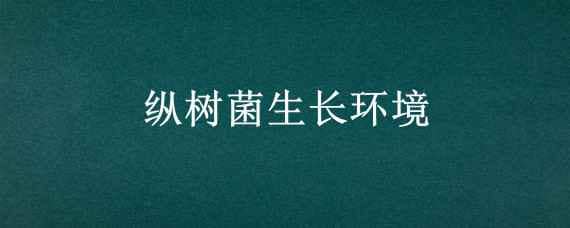 縱樹(shù)菌生長(zhǎng)環(huán)境（樅樹(shù)菌營(yíng)養(yǎng)及功效）