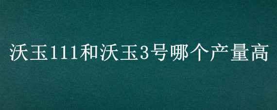 沃玉111和沃玉3号哪个产量高（沃玉3号怎么样）