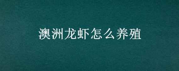 澳洲龙虾怎么养殖 澳洲淡水龙虾养殖