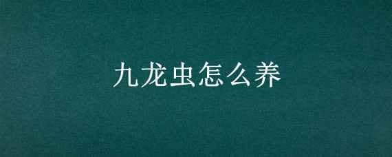 九龙虫怎么养 九龙虫怎么养最好