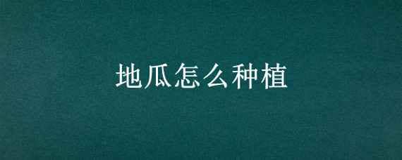 地瓜怎么种植 凉暑地瓜怎么种植