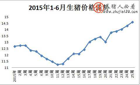 2015年1-6月全國生豬價(jià)格走勢(shì)圖 2016生豬價(jià)格走勢(shì)圖表