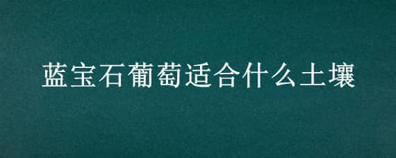 蓝宝石葡萄适合什么土壤（蓝宝石葡萄适合什么土壤种植）