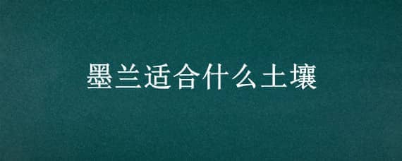 墨蘭適合什么土壤（墨蘭需要什么樣的土）