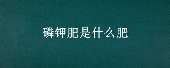 磷钾肥是什么肥（磷钾肥是什么肥料）