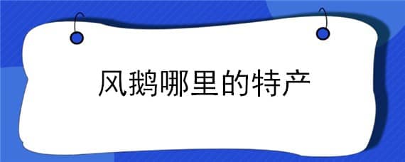 风鹅哪里的特产 风鹅是哪里特产多少钱