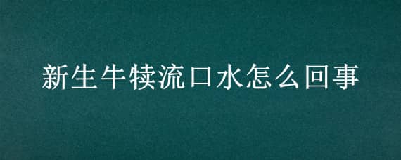 新生牛犊流口水怎么回事 初生牛犊流口水怎么回事