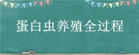 蛋白蟲養(yǎng)殖全過程 蛋白蟲的養(yǎng)殖相關(guān)資料