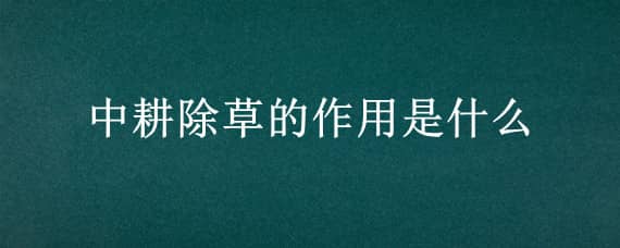 中耕除草的作用是什么（中耕除草的作用是什么芭芭农场）