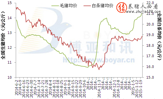 2015年1月22日大部分地區(qū)豬價仍以穩(wěn)定和下滑為主