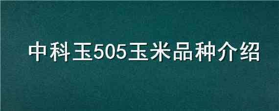 中科玉505玉米品種介紹（中科玉505玉米產(chǎn)量怎么樣）