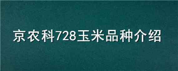 京農(nóng)科728玉米品種介紹 京農(nóng)科728玉米種簡介