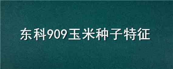 东科909玉米种子特征 东科玉米种子大全