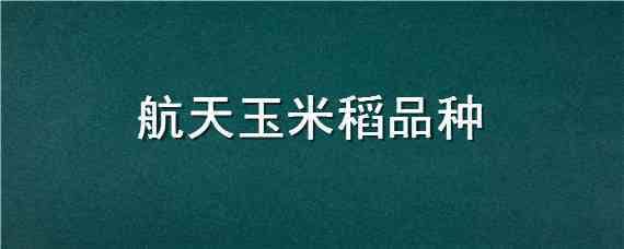 航天玉米稻品种 航天育种玉米