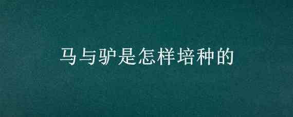 马与驴是怎样培种的（驴和马哪个容易养殖）