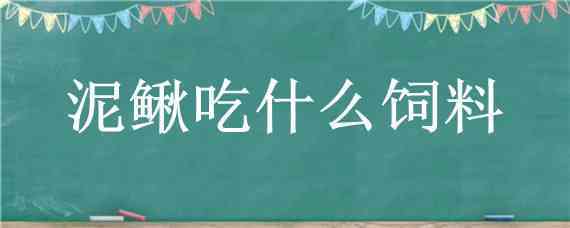 泥鳅吃什么饲料 台湾泥鳅吃什么饲料