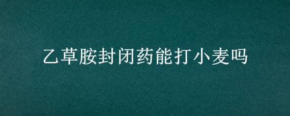 乙草胺封閉藥能打小麥嗎 乙草胺小麥田封閉