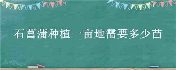 石菖蒲種植一畝地需要多少苗 一畝田種植石菖蒲多少棵苗