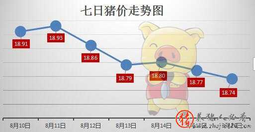 豬市將遇天氣和節(jié)日兩大支撐（晴天有時下豬的豬節(jié)和哪個節(jié)日有關?）