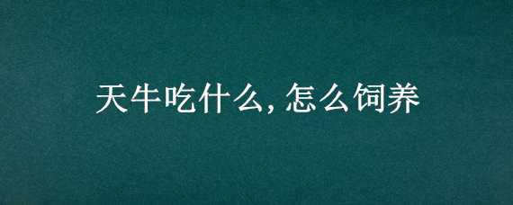 天牛吃什么,怎么饲养 天牛吃什么怎么饲养