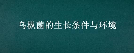 乌枞菌的生长条件与环境 野生乌枞菌喜欢生长在什么地方