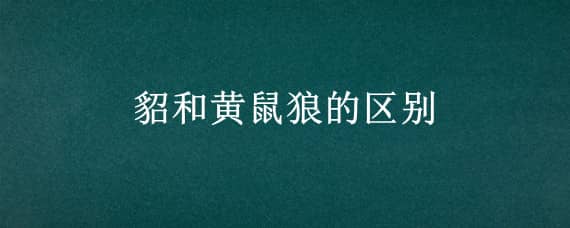 貂和黃鼠狼的區(qū)別 貂鼠和黃鼠狼區(qū)別