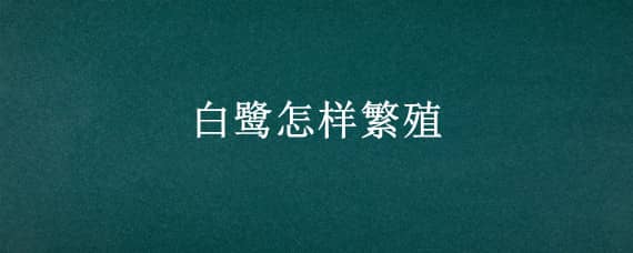 白鷺怎樣繁殖（白鷺怎樣繁殖后代）