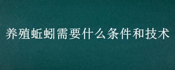 養(yǎng)殖蚯蚓需要什么條件和技術(shù)（養(yǎng)殖蚯蚓需要什么條件和技術(shù)視頻）