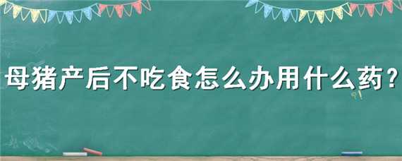 母豬產(chǎn)后不吃食怎么辦用什么藥（母豬產(chǎn)后不食怎樣用藥）