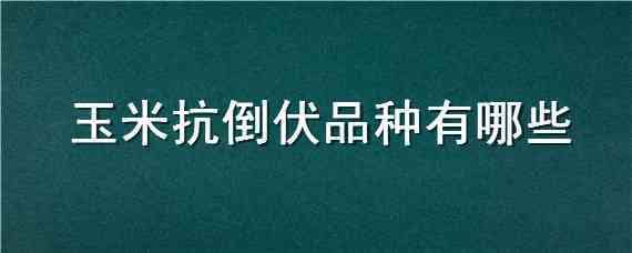 玉米抗倒伏品種有哪些 玉米抗倒伏品種有哪些圖片