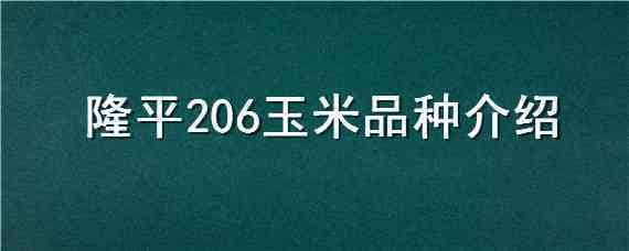 隆平206玉米品種介紹（隆平206玉米種簡介）