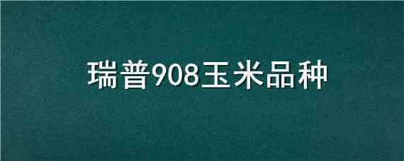 瑞普908玉米品种 瑞普908玉米品种介绍