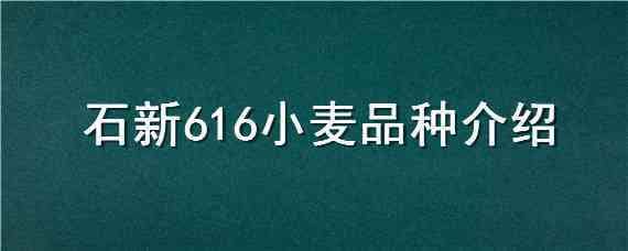 石新616小麦品种介绍 石新6171小麦品种简介