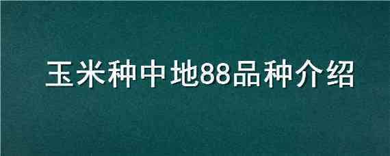 玉米種中地88品種介紹（中地9988玉米品種特征）