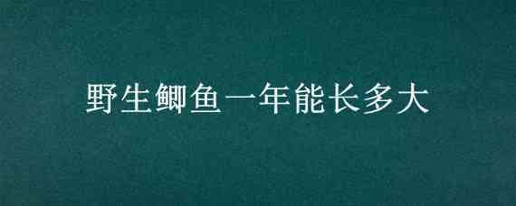 野生鯽魚一年能長多大 野生鯽魚長到一斤大要幾年