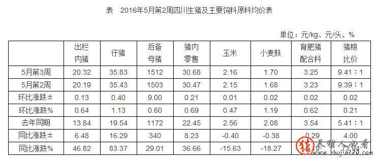 四川：生豬均價漲幅減緩（四川生豬價格漲跌表）