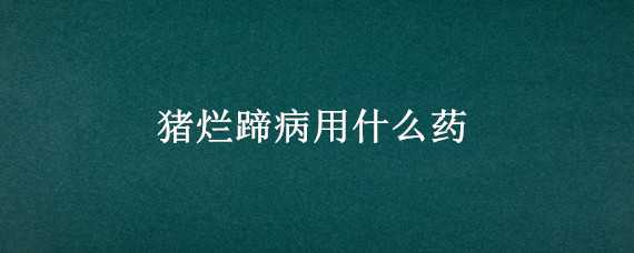 猪烂蹄病用什么药 猪烂蹄病怎么治