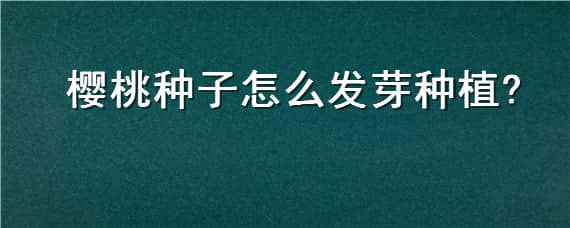 櫻桃種子怎么發(fā)芽種植 櫻桃種子怎么種才能發(fā)芽