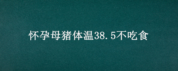 怀孕母猪体温38.5不吃食 怀孕母猪体温38.5不吃食怎么办?