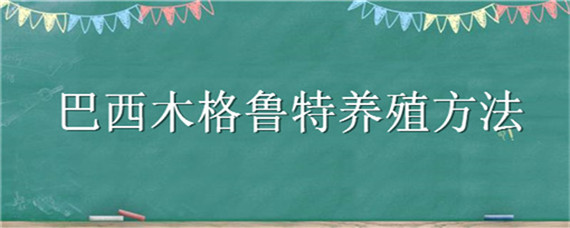 巴西木格鲁特养殖方法（巴西木上面的格鲁特能养活吗）