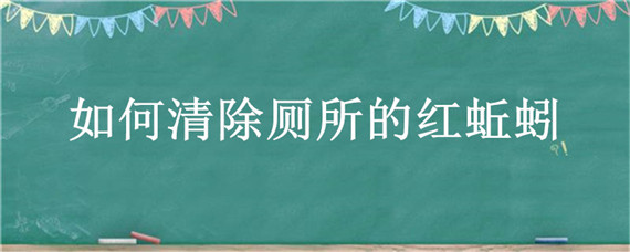 如何清除厕所的红蚯蚓（厕所有红蚯蚓）