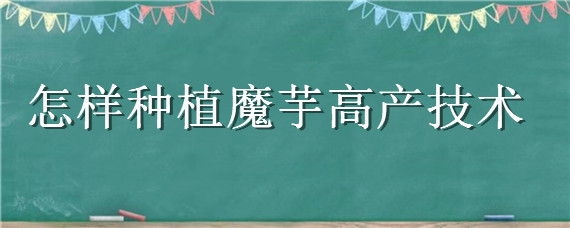 怎樣種植魔芋高產(chǎn)技術(shù) 魔芋種植栽培技術(shù)