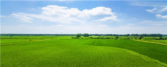 什么地不屬于基本農(nóng)田 什么土地屬于基本農(nóng)田