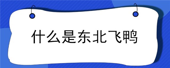 什么是東北飛鴨 東北的飛鴨是什么?