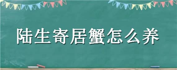 陆生寄居蟹怎么养（陆生寄居蟹怎么养啊）