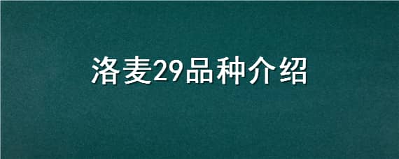 洛麦29品种介绍（洛麦9908小麦种怎么样）