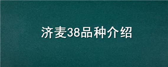 济麦38品种介绍 济麦5198品种介绍