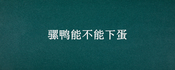 騾鴨能不能下蛋 騾鴨能下蛋嗎