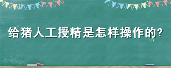 給豬人工授精是怎樣操作的?（人工授精給豬怎么做）